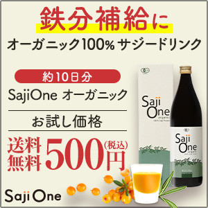 Saji One 500円モニター