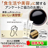 カラダごほうびプロテイン(500円モニター)