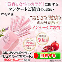 ピュアミーツサポート 500円モニター