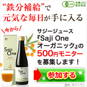Saji One 500円モニター